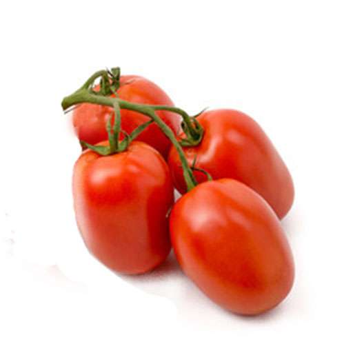 راهنمای خرید بذر گوجه مارول