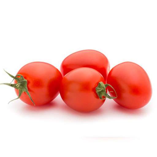 بذر گوجه RFT 732216 از سینجنتا