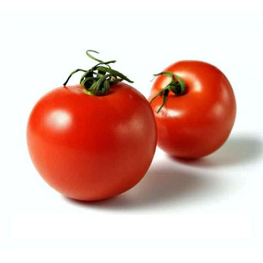 بذر گوجه پتو پراید 5 محصول شرکت سمینیس