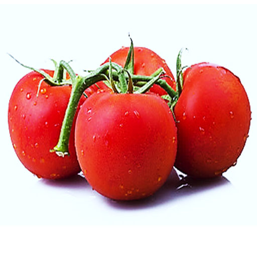 راهنمای خرید بذر گوجه باسیمو