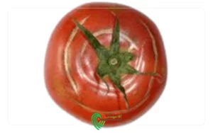 علائم کمبود بر در گوجه
