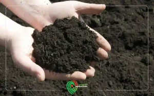 تغییر PH خاک به چه صورت است؟