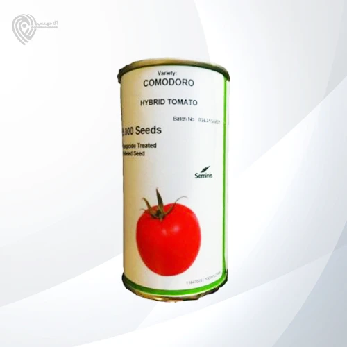 بذر گوجه کومودورو از شرکت سمینیس