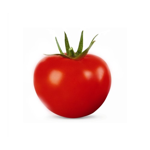 بذر گوجه هارتیوا 1010 محصول شرکت اگریپا