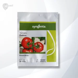 بذر گوجه دافنیس محصولی شرکت سینجنتا است.