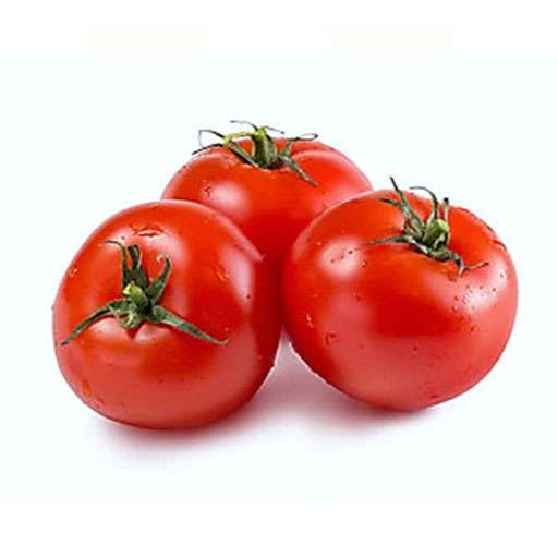 بذر گوجه ساتیوو محصول شرکت ساکاتا