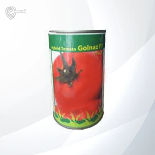 بذر گوجه گلناز محصول شرکت هایزر است.