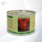 بذر گوجه گلسار رقمی از شرکت هایزر است.