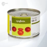 بذر گوجه جی اس 12 محصول شرکت سینجنتا است.
