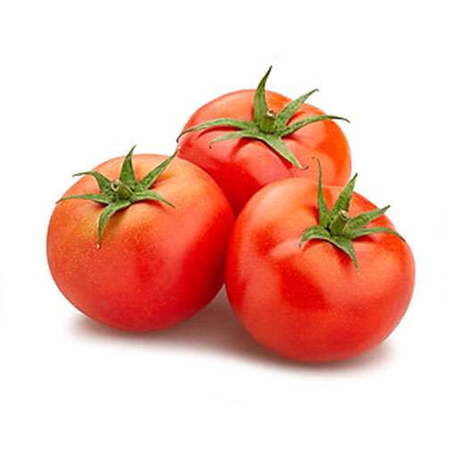 بذر گوجه گلناز محصول هایزر