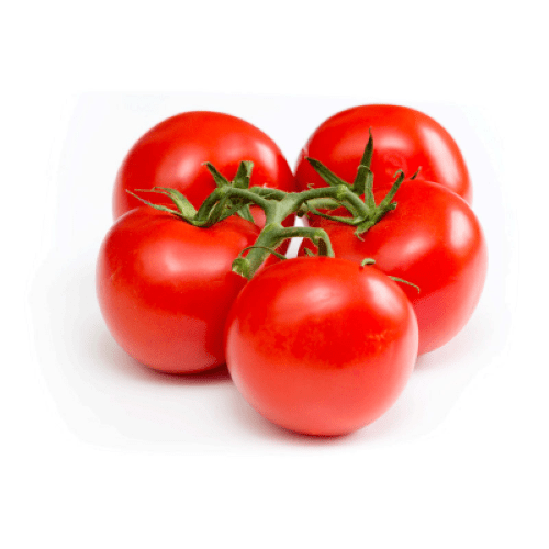 بذر گوجه کارون محصول شرکت نیکرسون