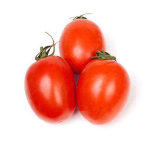 بذر گوجه سانسید 6189