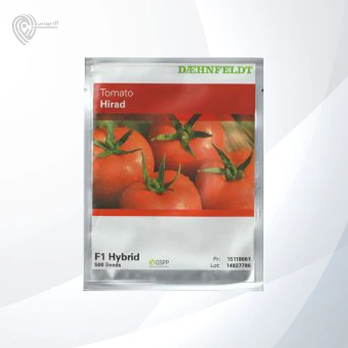 بذر گوجه هیراد رقمی مناسب کشت در گلخانه از شرکت سینجنتا