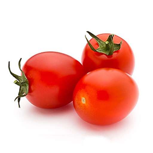 راهنمای خرید بذر گوجه GS-15