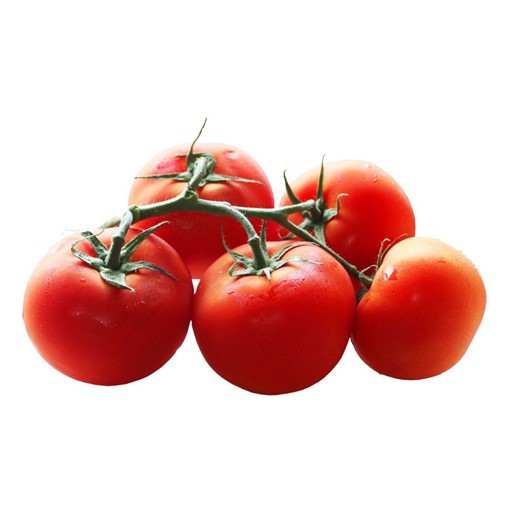 خرید بذر گوجه ازمیر از شرکت سینجنتا
