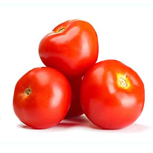 بذر گوجه بلاریوا محصول شرکت سمینیس