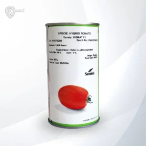بذر گوجه کیشمات محصول شرکت سمینیس است.