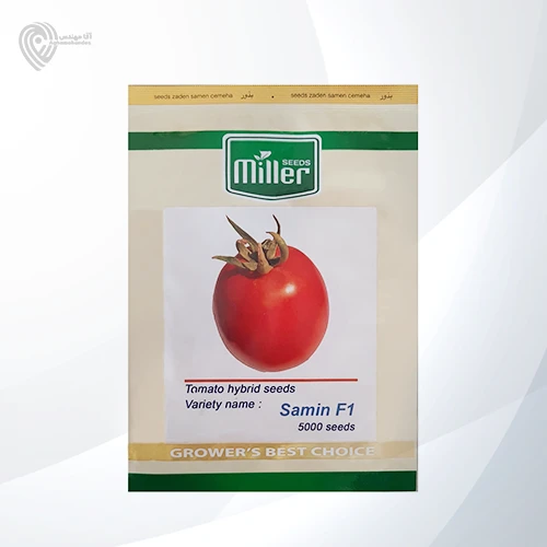بذر گوجه ثمین محصول شرکت میلر سیدز است.