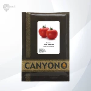 بذر گوجه ساترنو محصول کانیون است.