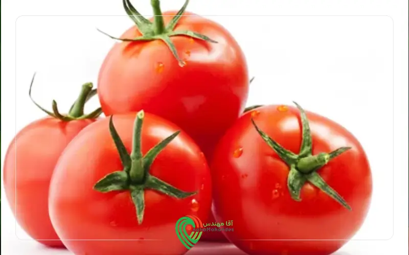 پربارترین بذر گوجه فرنگی گرد میزان برداشت گوجه فرنگی در هکتار