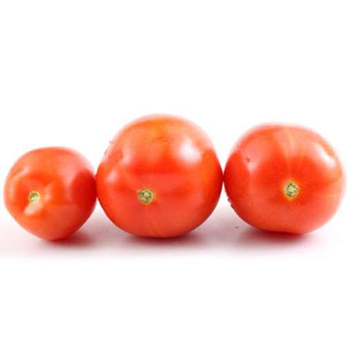 بذر گوجه سانسید 6108 محصول شرکت نانهمز