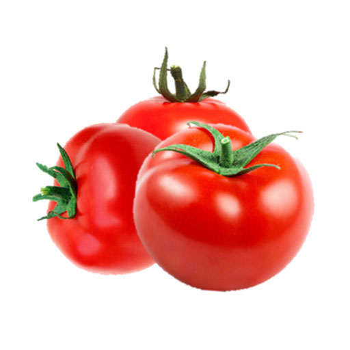 خرید بذر گوجه 8320 قوطی و پاکت