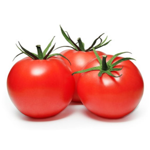 بذر گوجه گلدی محصول شرکت یو اس اگری سیدز
