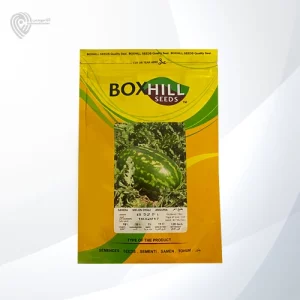 بذر هندوانه ب52 محصول شرکت باکس هیل