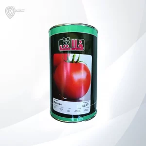 بذر گوجه کارون محصول شرکت فلات در ایران است.