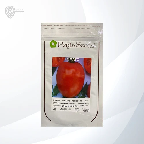 بذر گوجه مارکونی تولید شرکت پنتا سیدز