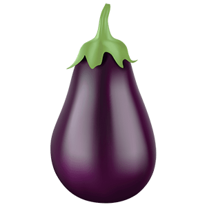 Eggplant-Cat2