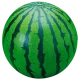 Watermelon-Cat3